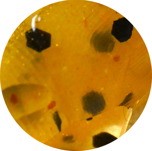 Softbait-kleur-Honeygold